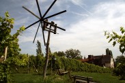 newsbild newsbild