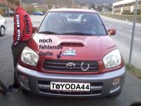 Foto auf Suche/Habe