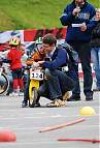 Foto auf Junior Mountainbike Challenge 2008