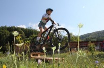 Foto auf Newsletter Archiv