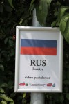 Foto auf Home