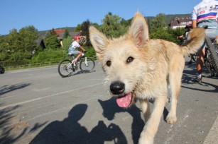 Foto auf Bike Camp 02.11 im August 2011