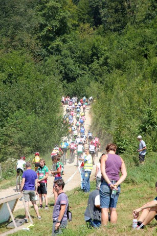 Foto auf Tag 1 - 14.08.2012