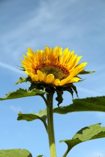 Foto auf Tag 4 