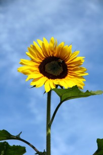 Foto auf Tag 4 