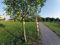 Foto auf Wildoner Radmarathon 2013