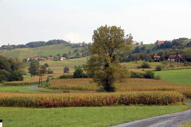 Foto auf Wildoner Radmarathon 2012