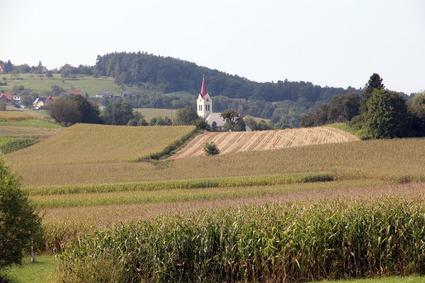 Foto auf Wildoner Radmarathon 2012