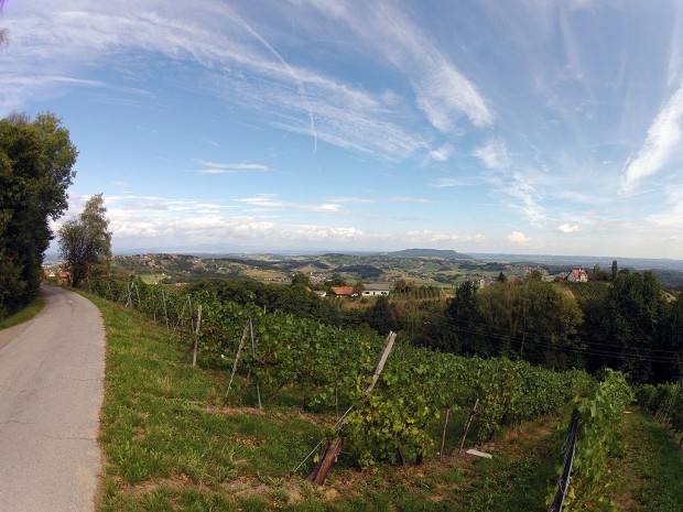 Foto auf Wildoner Radmarathon 2013