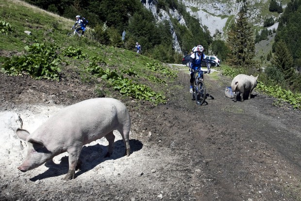 Foto auf Team Tour 2010 - Karnischer Höhenweg