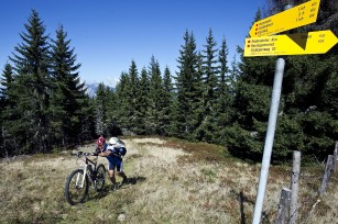 Foto auf Team Tour 2010 - Karnischer Höhenweg