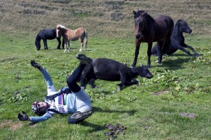 Foto auf Team Tour 2010 - Karnischer Höhenweg