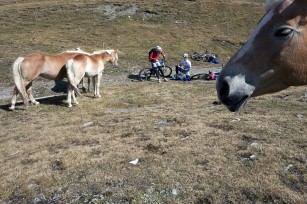 Foto auf Team Tour 2010 - Karnischer Höhenweg