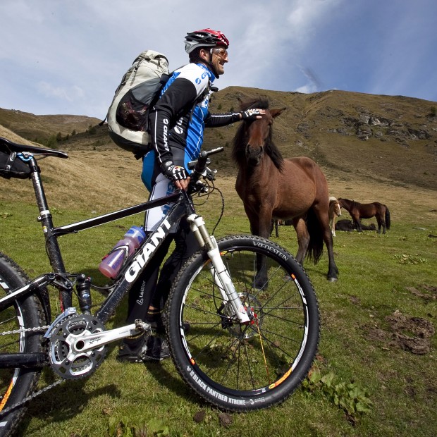 Foto auf Team Tour 2010 - Karnischer Höhenweg