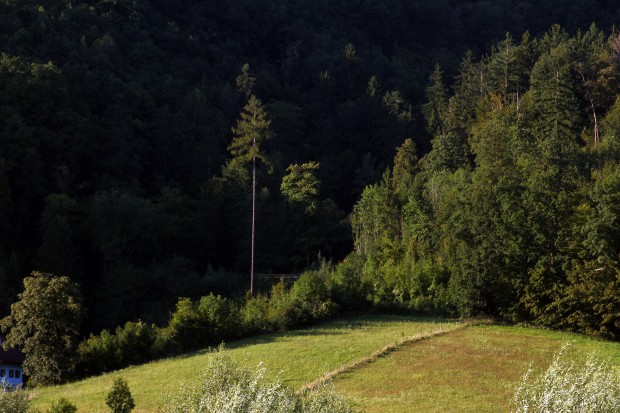 Foto auf Tag -5 - 0