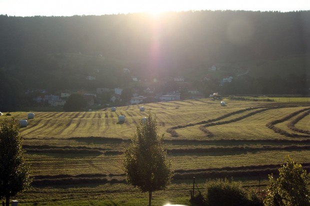 Foto auf Tag -5 - 0