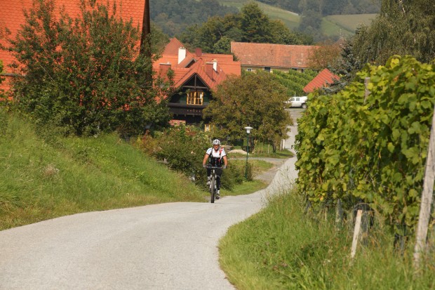 Foto auf Wildoner Radmarathon 2014