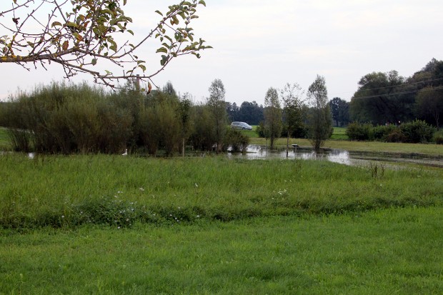 Foto auf Wildoner Radmarathon 2014