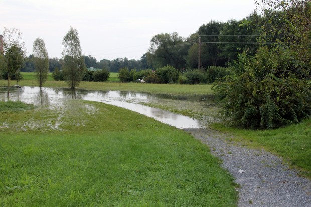 Foto auf Wildoner Radmarathon 2014