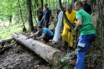 Foto auf JEM 15 - die Tage davor