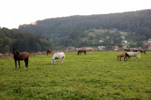 Foto auf JEM 15 - die Tage davor