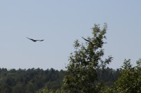 Foto auf JEM 15 - die Tage davor