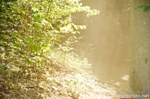 Foto auf Tag 5 - XCO