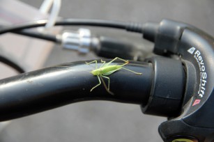 Foto auf Bike Camp 15.II  - Perfektes Wetter - Great performance!
