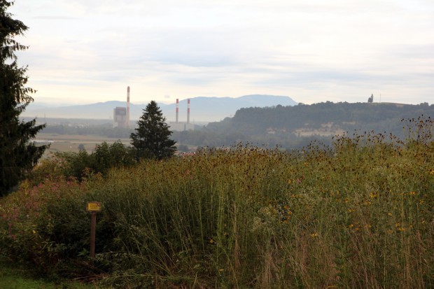 Foto auf Wildoner Radmarathon 2015