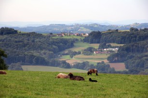 Foto auf Wildoner Radmarathon 2015