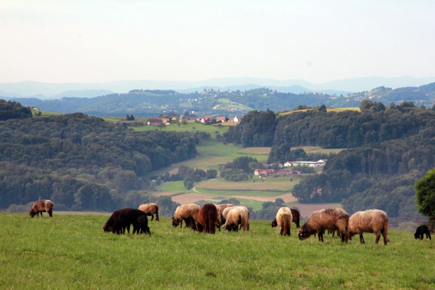 Foto auf Wildoner Radmarathon 2015