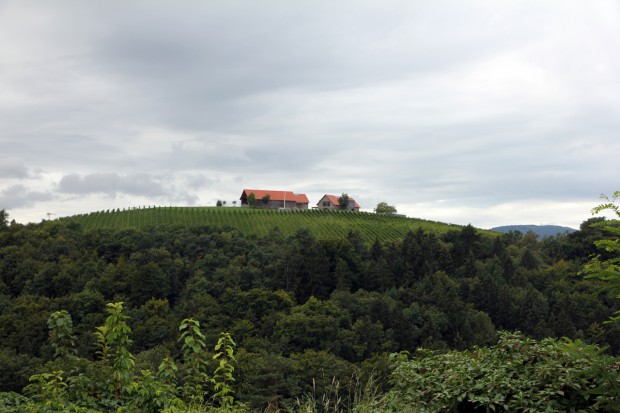 Foto auf Wildoner Radmarathon 2015