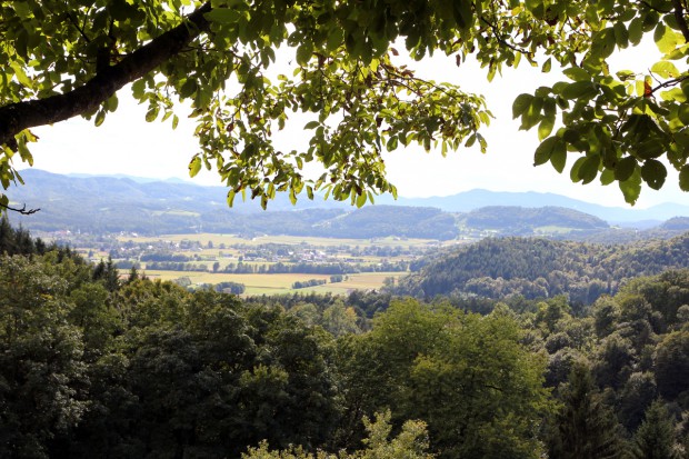 Foto auf Wildoner Radmarathon 2015