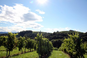 Foto auf Wildoner Radmarathon 2015