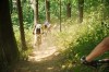 "Hochwald"  
 Ausfahrt