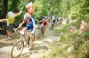 Feed zone 1