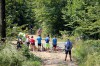 neue!!! Einfahrt Single trail 