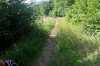 Downhill