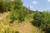 Abzweigung zu "Woodrock"