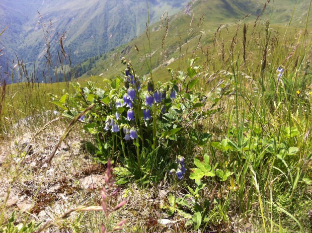 Foto auf Tourentage Sutrio - Gemona (ITA) 13. - 17. Juni 2018 > GIANT Stattegg