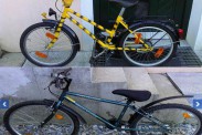 newsbild