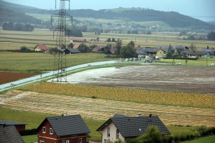 Foto auf The last Wildoner  (&#945;1991 - &#937;2016)