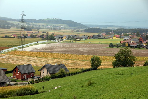 Foto auf The last Wildoner  (&#945;1991 - &#937;2016)