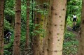 Foto auf Big Pictures BC 2018/18+/17/16/15/14
