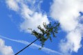 Foto auf Big Pictures BC 2018/18+/17/16/15/14
