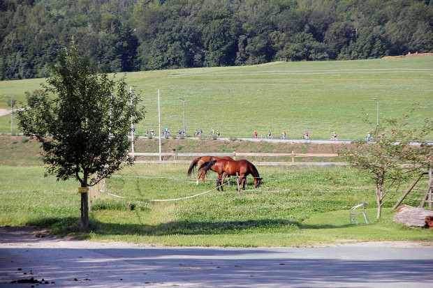 Foto auf Sommer Bike Camp I  - THE BILDBERICHT!