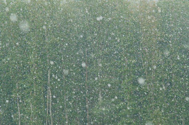 Symbolfoto: Regen bei JEM17 MTB Combined U15m by grubernd