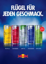 Foto auf KONTAKT / INFO