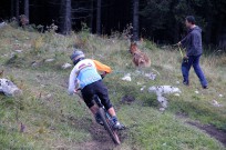 Foto auf Der Schöckl bebte!!!