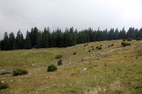 Foto auf Der Schöckl bebte!!!